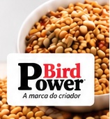 Nutrição