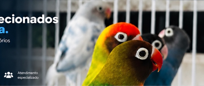 Aves do Criatório Júnior Hoelz
