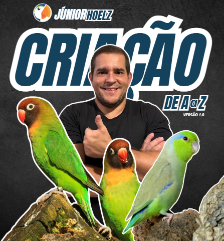 Capa do guia Guia de Criação de A | Z