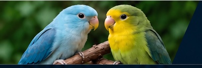 Aves do criatório